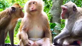 Jane and Bonita Enjoy Peaceful Time Together, But Bonita Isn’t Welcoming to Newcomer