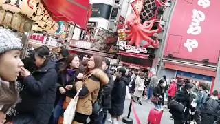 Dotonbori Osaka  - King Crab & Takoyaki