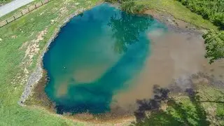 What's Happening to the FARM POND!