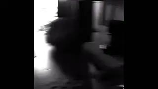 cat jumpscare