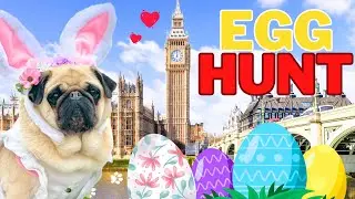 Dog Easter Egg Hunt in London 🇬🇧🐣 — Maggie the Pug