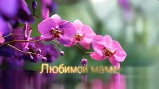 Как красиво поздравить маму с днем матери? Видео поздравление маме от сына.