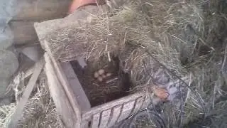 Демонтаж старого дома видео №4