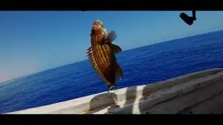 مجرزه الحلوف مرسى مطروح