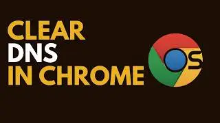 How to Clear DNS Browsing Cache in Google Chrome (Fix Website Errors)