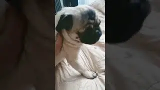 хз что снять