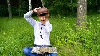 Практика -2 с деньгами. Насыщение денежным потоком в портале " "Вихрь"