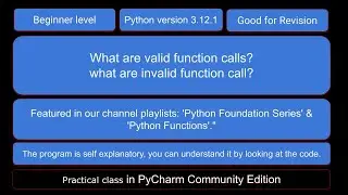 What are valid and invalid function calls in Python?