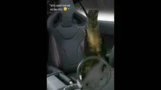 старый тренд :( #video #тренд #говрек #роблокс #котик #котвмашине
