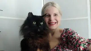 Как я ехала в поезде с котом Филей💔