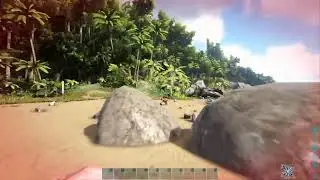 Ark