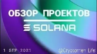 Обзор проектов Solana