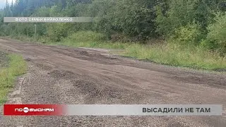 Идти 2 км по безлюдной трассе вдоль леса пришлось ребёнку в Усть-Куте из-за водителя автобуса
