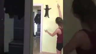 Кот бегает по стене | #Shorts