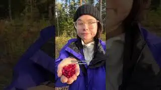 Is Finland the happiest country? 