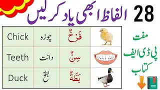 28 Arabic Speaking Words in English and Urdu - Arabic Vocabulary for Beginners