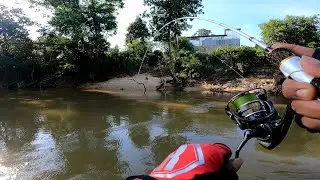 Caught a Big Hampala Fish with a Double Strike
