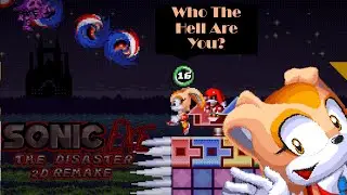 Who The Hell Are You! | Sonic.exe The Disaster 2D Remake Longplay #3