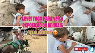LEVEI YAGO PARA EXPOSIÇÃO DE ANIMAIS , YAGO E MUITO CORAJOSO /GRATIDÃO PELO #1k ❤️🙌🏻