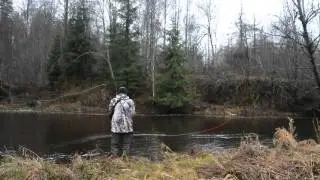 Kola Salmon Switch rod DH T 8 11,4
