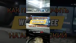 Как поменять язык с китайского на английский на мониторе VOYAH FREE