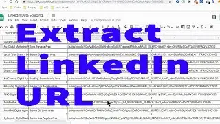 How To  Extract Url From LinkedIn | extract linkedin profile url