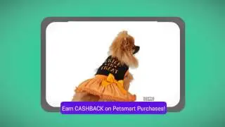 Martha Stewart Pets Trick Or Treat Dress