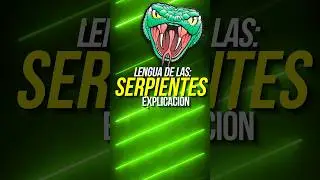 ¿Por qué las SERPIENTES tienen la LENGUA PARTIDA? 🐍👅 