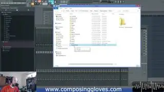 How to Organize Plugins in FL