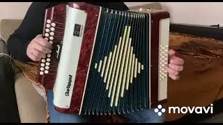 Расцвела под окошком белоснежная вишня(гармонь Беларусь)