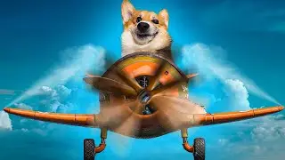 The World's First Corgi PILOT!! Corgi Cake Horror Flying on the Wings of the Night
