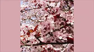 Caulden - April (BeatTape)