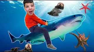 Caleb Visits the SEATTLE AQUARIUM, Talks to a Sea Lion, Touches an Octopus and Learns with Mom!