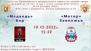 ХК «Медведь» Бор - ХК «Мотор» Заволжье  18.12.2022 