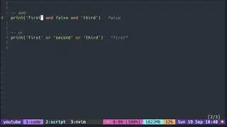 Lua Tutorial with Neovim: Logical Operators ( and, or, not )