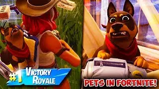 How Does Your Pet REACT When You DIE vs When You WIN? | Fortnite Season 6 TIER 100 Battle Pass Pets