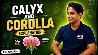 Calyx and Corolla Explanation (Complete understanding under 1 minute!)