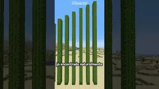 Maior Cacto do Minecraft! #shorts #minecraft