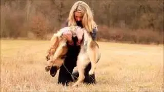Dog tricks by German Shepherd Britney - 2 years !