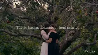 Clairo - sis (Türkçe Çeviri)