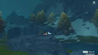 crimson and snow fox in dragonspine