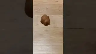 Смачный лайк летит медленно