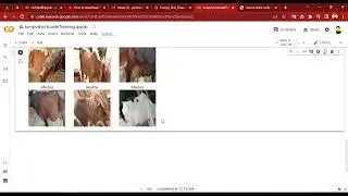 how to train a dataset , using deep learning model.in Hindi 2022 |