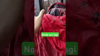noda cat lagi
