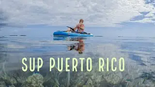 Paddle Board Puerto Rico