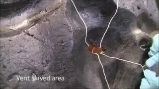 Dev lastiklerin Tamiri nasıl yapılır