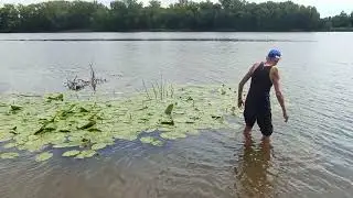 на р Самара 30 июля