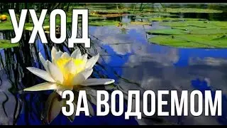 Очистка водоема | Биологический способ очистки водоемов | Уход за водоемом | ПЛАНЕТА АГРО