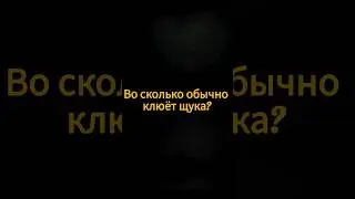 #shortvideo #рыбалка #щука #fishing #спининг #fish