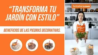Descubre los BENEFICIOS DE LAS PIEDRAS DECORATIVAS.